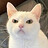 FELIX