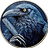 The.Raven.Project