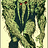 Pathmaster