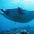 mantaroh mantaroh