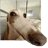 antoineDlh