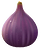 Fig