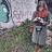 nevena