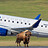 Aviation_Alex Aviation_Alex