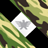 Martin_Lorenz