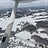 Moose0308