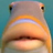 SUPPA_FROG