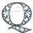 diamondq