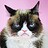 Grumpycat