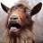holygoat