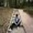 Edonit_Elshani
