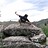 kungfoo