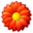 kavasserij_515