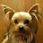moses.ctr.schilling