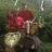 Alan_Sparling
