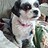 Angie_Howard Angie_Howard