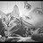 Cate1