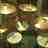 drumminduck
