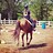 HorseLover101