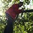 John_H