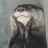 otter