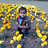 ravinder
