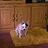 roxy_t1