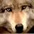 Sandy_Miller