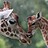 SantasGiraffe