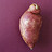 sweetpotater