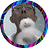 odi_1270