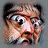 robsyc