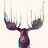 bellaclark1ktjn