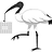 IBIS_BINS
