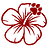 kokuadog