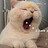 Ly_Phuong